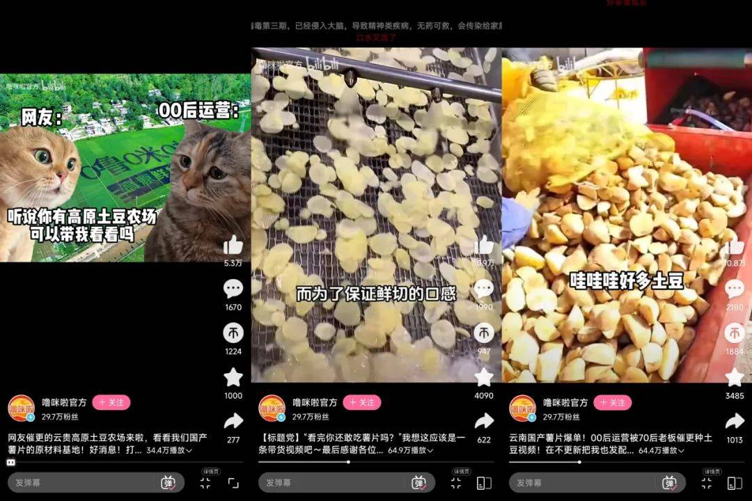 小紅書(shū)2天漲粉2萬(wàn)，“貓meme”成流量密碼？薯片帶你解鎖爆款邏輯
